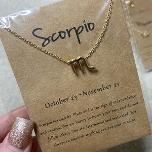 Scorpio Necklace (ACCEPTING REASONABLE OFFERS)